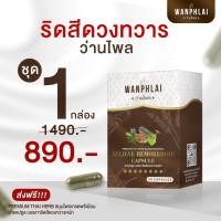 ราคา ของแท้ ส่งไว ยาบรรเทาริดสีดวงทวารหนัก ตราว่านไพล 50เเคปซูล 1 กล่อง (28817392351)