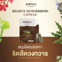 ราคา ของแท้ ส่งไว ยาบรรเทาริดสีดวงทวารหนัก ตราว่านไพล 50เเคปซูล (27876824240)