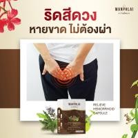 ราคา ของแท้ ส่งไว ยาบรรเทาริดสีดวงทวารหนัก ตราว่านไพล 50เเคปซูล (26526817305)