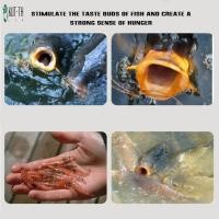 ราคา Carassius Auratus เหยื่อปลาเหยื่อดึงดูดรังวัสดุอุปกรณ์ตกปลาเหยื่อสารเติมแต่งยา (27433685283)