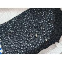 ราคา ถั่วดำ 1กิโล พร้อมส่ง (43576557601)