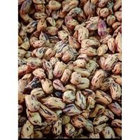 ราคา ถั่วลายเสือ 1กิโลกรัม ถั่วลายเสือดิบ สำหรับทำอาหารหรือกิน (41354303343)