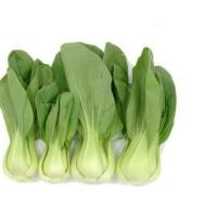 ราคา เมล็ดผักกาดกวางตุ้ง 10แถม2 (43709379895)