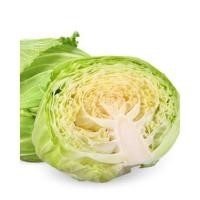 ราคา เมล็ดกะหล่ำปลี ตรากบดำกบแดง (29438109956)