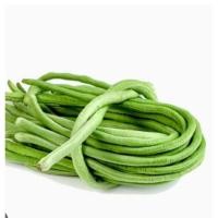 ราคา เมล็ดถั่วฝักยาวพร้อมปลูก 10แถม2 (44009379094)