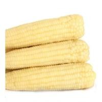 ราคา ข้าวโพดข้าวเหนียว 10แถม 1 (43605806267)