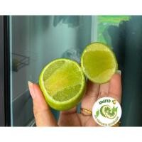 ราคา มะนาวแป้นพิจิตร นน 5 กิโลกรัม เปลือกบาง น้ำเยอะ เก็บสดจากสวน คัดพิเศษ จัดส่งไว (40520398125)