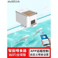 ราคา Anxinbao เครื่องป้อนปลาอัตโนมัติ WiFi Timed เต่าอาหาร Koi Goldfish ปลาเขตร้อนถังปลาเครื่องป้อนอัตโนมัติ (57454935011)