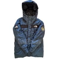 ราคา The North Face Antarctica Parka down jacket (29593992224)
