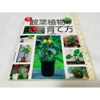 ราคา มือสอง ตำหนิสันขอบไม่สวย ด้านในสภาพดี ภาพประกอบเยอะ หนังสือเกี่ยวกับการดูแลพืชประดับในร่มภาษาญี่ปุ่น 260 บาท (40715188464)