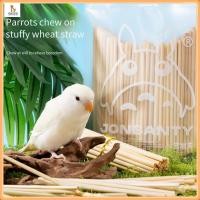 ราคา ของเล่นก ของเล่นกัดหมอ ฟางข้าวสาลี่ ฟันบดธรรมชาติหมอ ของเล่นความบันเทิง ของเล่นการฝึกอบรมแบบโต้ตอบหมอ ของเล่นหมอ (24345457165)