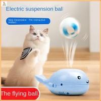 ราคา ของเล่นแมว USB Charging Hang Ball ของเล่นแมว ของเล่นแมว ของเล่นแมว ของเล่นแมว ของเล่นแมว ของเล่นแมว ของเล่นแมว (26772486542)