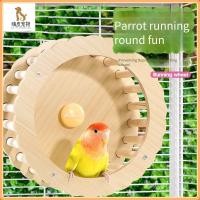 ราคา นกแก้ววิ่งล้อ ลู่วิ่งนกหมุน นกแก้วยืนขึ้นล้อวิ่ง ของเล่นนกแก้ว อุปกรณ์นก อุปกรณ์เสริมสำหรับกรงนก (26383957838)