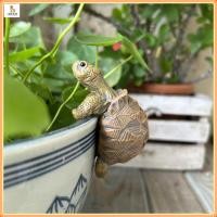 ราคา ตู้ปลาภูมิทัศน์ พิพิธภัณฑ์สัตว์น้ำเครื่องประดับตกแต่ง ตู้ปลาเรซิ่นเต่าตกแต่งจี้ กระถางดอกไม้เครื่องประดับสร้างสรรค์ภูมิทัศน์ขนาดเล็ก (27512846897)