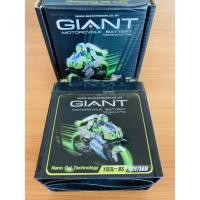 ราคา แบตเตอร์รี่แห้ง KR YB3L BS GIANT (13632458130)