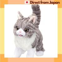 ราคา IWAYA DaKko de MiMiMi ลูกแมวทับบี้ Scottish Fold ตุ๊กตาแมวไฟฟ้า เซนเซอร์สัมผัส เสียงเหมือนจริง (29610508047)
