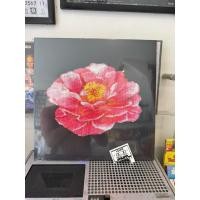 ราคา แผ่นเสียง Post Malone Tribute to Nirvana (40023845022)