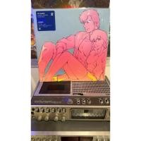 ราคา vinyl CITY HUNTER ORIGINAL ANIMATION SOUNDTRACK (41454541724)