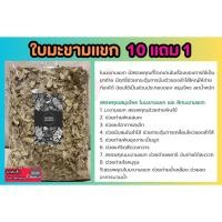 ราคา ใบมะขามแขก ขนาด 100 กรัม ระบาย สมุนไพรไทย อภัยภูเบศน ผักสวนครัว ป้องกัน บำรุง ฟื้นฟู เครื่องเทศน์ สมุนไพรจีน ใบปลอดสาร (28458028443)