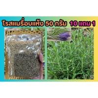 ราคา โรสแมรี่อบแห้ง 50 กรัม ใบโรสแมรี่ สมุนไพรไทย เครื่องเทศ ตำรับยา อภัยภูเบศน์ อบแห้ง ป้องกัน บำรุง ดูแล ต้นไพร กลิ่นหอม (25481119960)