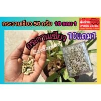 ราคา กระวานเขียว 50 กรัม ลูกเอ็ล อบแห้ง ปลอดสาร สมุนไพรไทย เครื่องเทศ ออแกนิก อภัยภูเบศน์ ป้องกัน บำรุง ดูแล รักษา ต้นไม้ (43502525141)