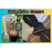 ราคา ดินปลูกหัวโขด ดินดี ปลูกง่าย แคตตัส ตะบองเพชร ไม้อวบน้ำ ไม้ประดับ สมุนไพร ต้นไม้ ฟอกอากาศ จัดสวน แต่งบ้าน สวนครัวพืช (26450226025)