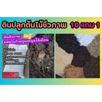 ราคา ดินปลูกต้นไม้ชีวภาพ สวน ผสมใบก้ามปู มูลไส้เดือน ปุ๋ย ต้นไม้ฟอกอากาศ กระถาง ไม้มงคล แต่งบ้าน ดิน หิน ทราย ตกแต่งบ้าน (24175634035)