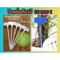 ราคา ป้ายชื่อต้นไม้ รูปตัว T ขนาดใหญ่พิเศษ ป้ายปักต้นไม้ ชื่อต้นไม้ บอกชื่อ ฟอกอากาศ สวน จัดสวน บ้าน ไม้มงคล ดิน ปุ๋ย กระถาง (27250415530)