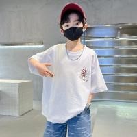 ราคา เด็กชายสำหรับฤดูร้อน 2025 สิงโตพิมพ์ลายดาซเซิล แขนสั้นเท่ๆ (41928826830)