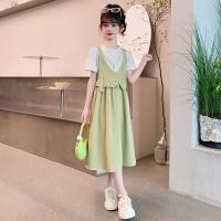 ราคา ชุดเดรสเด็กผู้หญิง 2025 แฟชั่นฤดูร้อนใหม่ ชุดเจ้าหญิงเด็กผู้หญิง ชุดยาวฤดูร้อน (26181721748)