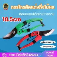 ราคา กรรไกรตัดกิ่งไม้ ขนาด6นิ้ว คีมตัดกิ่ง กรรไกรตัดกิ่งไม้ปากโค้ง กรรไกรตัดแต่งกิ่ง กรรไกรแต่งกิ่ง (41060129459)