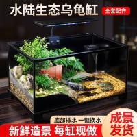 ราคา เต่าถังเพาะพันธุ์ภูมิทัศน์นิเวศวิทยาครัวเรือนถังแก้ววิลล่าขนาดเล็กการเพาะพันธุ์สะเทินน้ําสะเทินบกเต่าถังพิเศษถังปลา (28594229859)