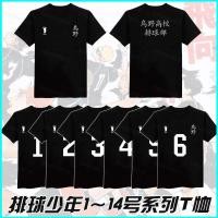ราคา ชุดคอสเพลย์ Karasuno High School จากอนิเมะ ハイキュー เสื้อยืดชุดกีฬาสำหรับทุกวัน แบบ Tobio Shoyo (25047908084)