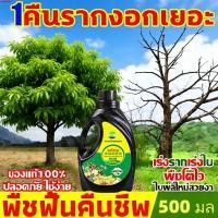 ราคา ปุ๋ยน้ำ สารเร่งราก ฮอร์โมนเร่งรากออกฤทธิ์เร็ว 500 มล ช่วยกระตุ้นการเจริญเติบโตของรากอย่างรวดเร็ว เพิ่มพื้นที่ผิวราก ลดก (58004421657)