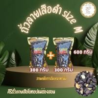 ราคา ถั่วลายเสือดำ size M ขนาด 300 กรัม 300 กรัม รวม 600 กรัม สินค้า OTOP จากจังหวัดแม่ฮ่องสอน (26076197669)