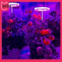 ราคา ไฟ LED Grow Light Full Spectrum Plant Light IP44 กันน้ํา Retractable ขนาดเล็ก Potting อาหารเสริม Light Timing สําหรับต้นกล้าและดอกไม้ Succulents (45356876414)