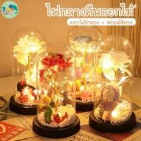 ราคา โคมไฟกุหลาบ LED กุหลาบโหลไฟแก้ว ดอกกุหลาบเรืองแสง ดอกกุหลาบประดิษฐ์พร้อมไฟ LED ดอกไม้ประดิษฐ์ ดอกไม้ชั่วนิรันดร์ ของขวั (46604900796)