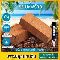 ราคา กาบมะพร้าวสับ ขุยมะพร้าว กาบมะพร้าว มะพร้าวสับ ผสมดินปลูก รองก้นกระถาง ใช้ผสมดินปลูกช่วยให้ดินอุ้มน้ำ ขุยล้วนๆ ร่อนละเอี (29543444302)