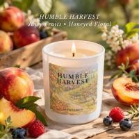 ราคา SOTANIQUE HUMBLE HARVEST 200 ml เทียนหอมกลิ่นผลไม้สุกฉ่ำ ผสานดอกไม้และน้ำผึ้ง หอมหวานนุ่มละมุน สไตล์ชนบทยุโรป (46657389287)