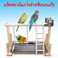 ราคา EasyBuyMall คอนใหญ่ คอนยืนนกแก้ว สำหรับนกแก้วขนาดเล็ก กลาง (56805797271)