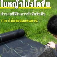 ราคา ผ้าคลุมโรงเรือน 100M พลาสติกคลุมดิน พลาสติกคลุมสนามหญ้า กำจัดวัชพืช คลุมวัชพืช พลาสติกคลุมสนามหญ้า กำจัดวัชพืช (54702076239)