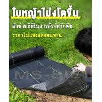 ราคา ผ้าคลุมโรงเรือน 50 เมตร พลาสติกคลุมดิน พลาสติกคลุมหญ้า ป้องกันและกำจัดวัชพืช คลุมวัชพืช พลาสติกคลุมหญ้า ป้องกันและกำจัดว (50202062564)