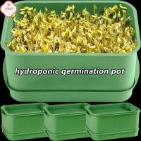 ราคา ถาดเพาะเมล็ดพลาสติกถาดเพาะต้นกล้าถาดเพาะผักไร้ดินดินอุปกรณ์สวน (52607302064)