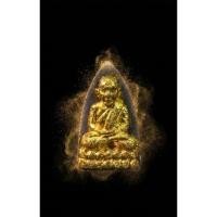 ราคา หลวงปู่ทวด วัดช้างให้ จ ปัตตานี หลังตราสัญลักษณ์พระราชพิธีกาญ ครองราชย์ 50 ปี ร 9 ปิดทองเก่าเริ่มหายาก ประกันแท้ออกวัด (40079344532)