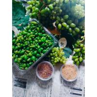 ราคา องุ่นดิบคัดไซส์ องุ่นนอกอ่อนดิบต้นฤดู เปรี้ยวน้ำลายแตก คละสายพันธุ์ ไร้เมล็ด ปลูกแบบปลอดสารพิษ ตัดสด เปรี้ยวน้ำลายแตก (25771310526)