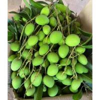 ราคา มะม่วงเบา มะม่วงอ่อนดิบ เก็บสด เปรี้ยว กรอบ ปลูกแบบปลอดสารพิษ (24392025498)