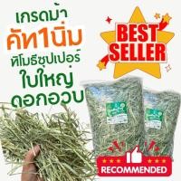 ราคา ล็อตใหม่ หญ้ากระต่ายหญ้าทิโมธีคัท 1 iHayซุปเปอร์พรีเมี่ยมเกรดม้า ร่อนฝุ่น แกสบี้ แพรี่ด็อก ชินชิล่า (6150613876)