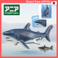 ราคา Takara Tomy Ania AL 11 Megalodon Floating Ver Animal Toy for Kids 3 (27189667136)