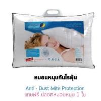 ราคา หมอนหนุนใยบอล Sweet Dreams แถมปลอกหมอน 1 ใบ (19982156371)