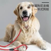 ราคา หัวเข็มขัดสุนัขไนลอนสายจูงป้องกันการระเบิดสายจูงสัตว์เลี้ยงที่ทนต่อการดึง พี สายจูงโซ่สุนัขเดินสายจูงสุนัข (45157542080)